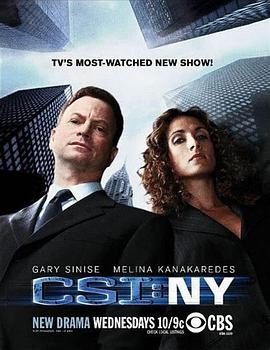 犯罪现场调查：纽约 第五季 第25集(大结局)